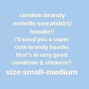 brandy melville hoodie